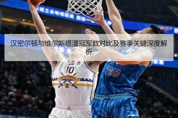 汉密尔顿与维尔斯塔潘冠军数对比及赛季关键深度解析